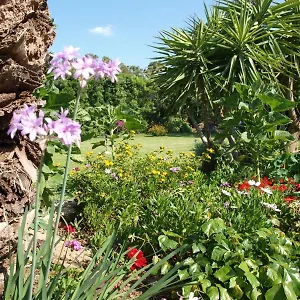 Nel Giardino In Fiore Olia Speciosa